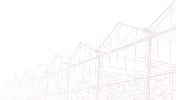 俄罗斯专享会·294(中国游)官方网站