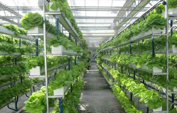 俄罗斯专享会·294(中国游)官方网站