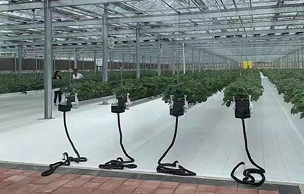 俄罗斯专享会·294(中国游)官方网站